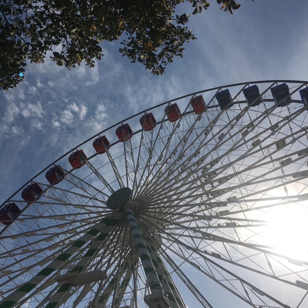 Meet your Posher, Autumn